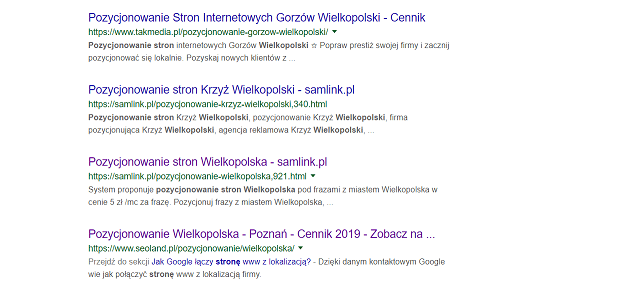 pozycjonowanie stron wielkopolska